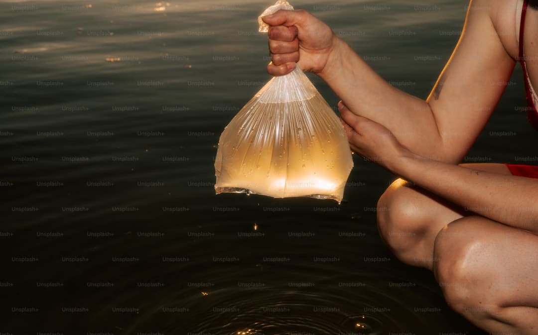 斑鸠哥是什么梗